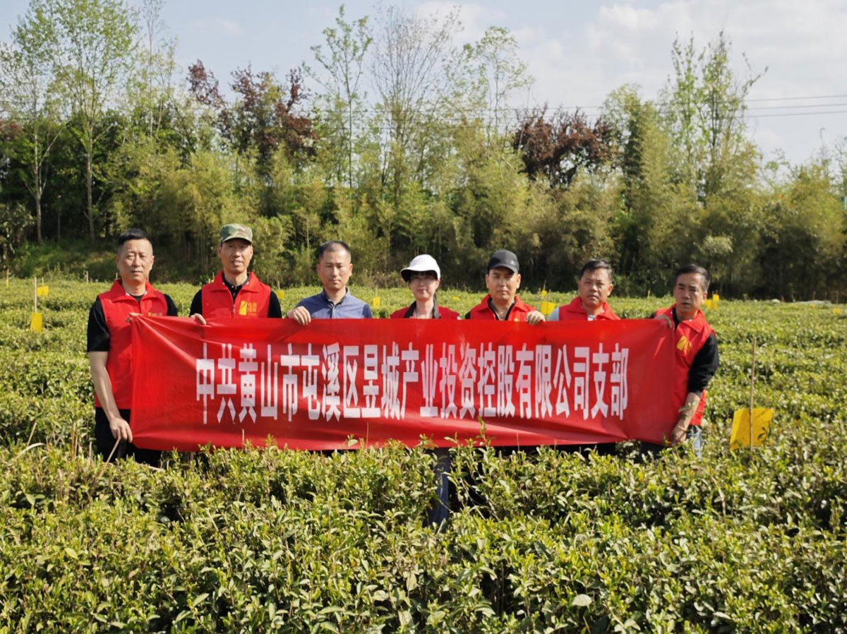 昱城產(chǎn)投公司黨支部開展“茶香潤初心，黨旗映茶園”主題黨日活動
